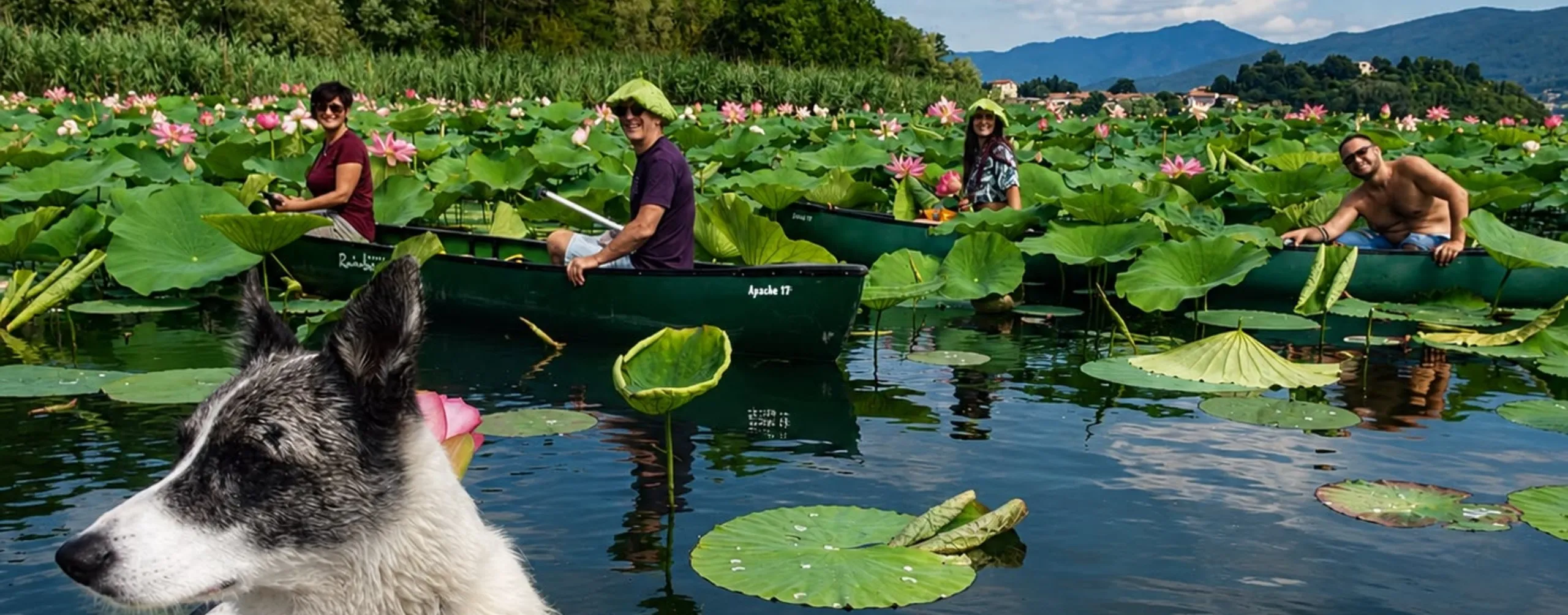 Escursione in Canoa tra i Fiori di Loto | Lago di Varese | Pollo Lake Experience