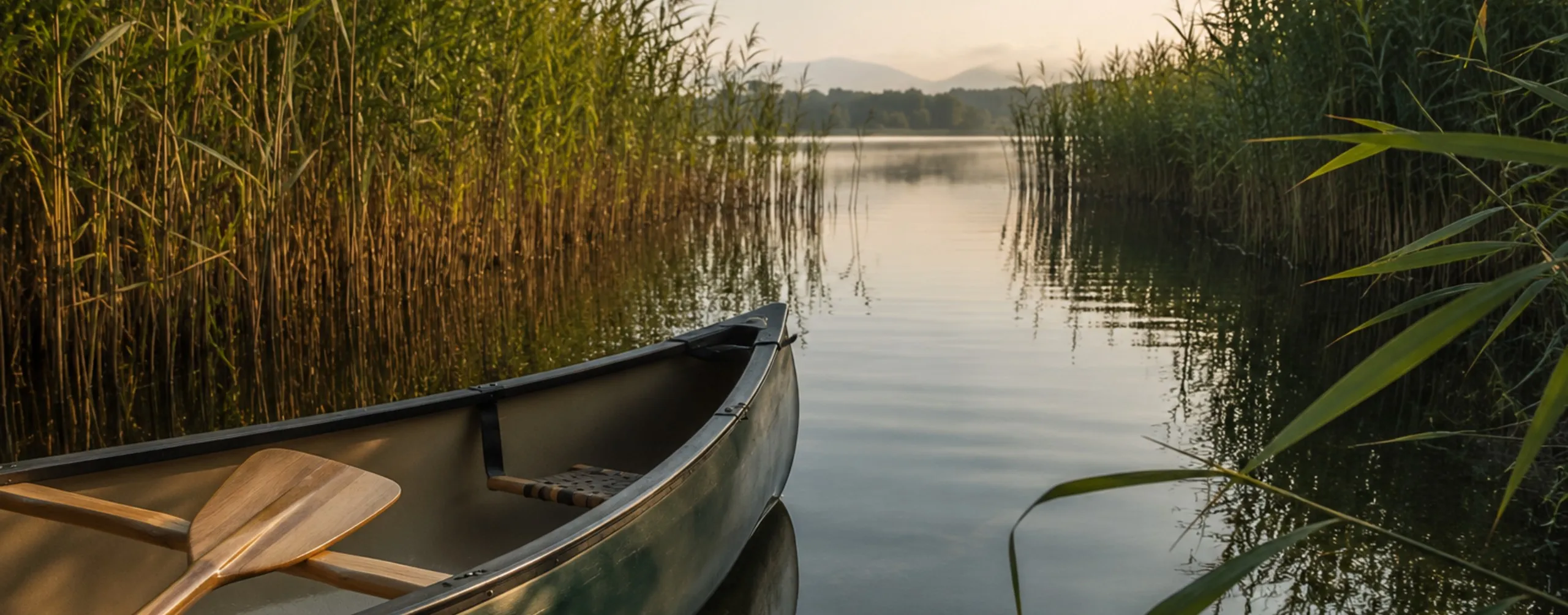 Dentro i canneti del Lago di Varese in canoa | Pollo Journal