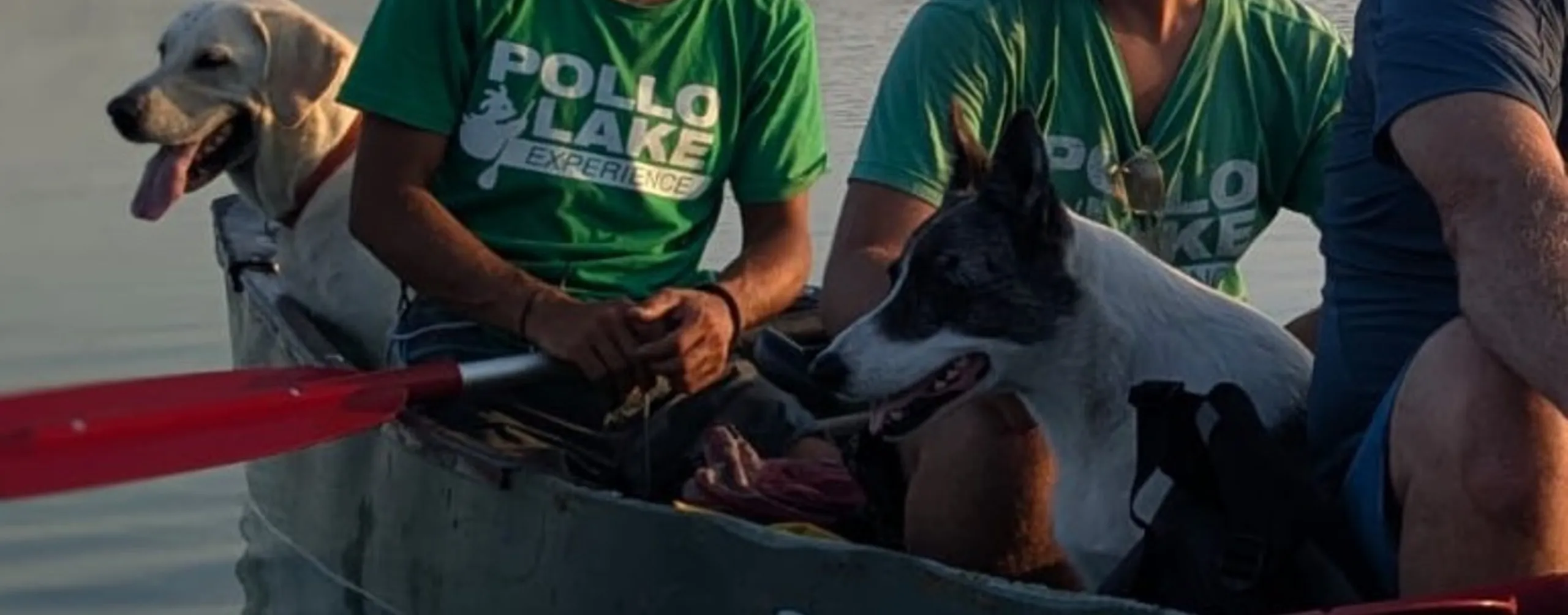Dog Experience e Canoa con il Cane | Laghi di Varese e Lago Maggiore