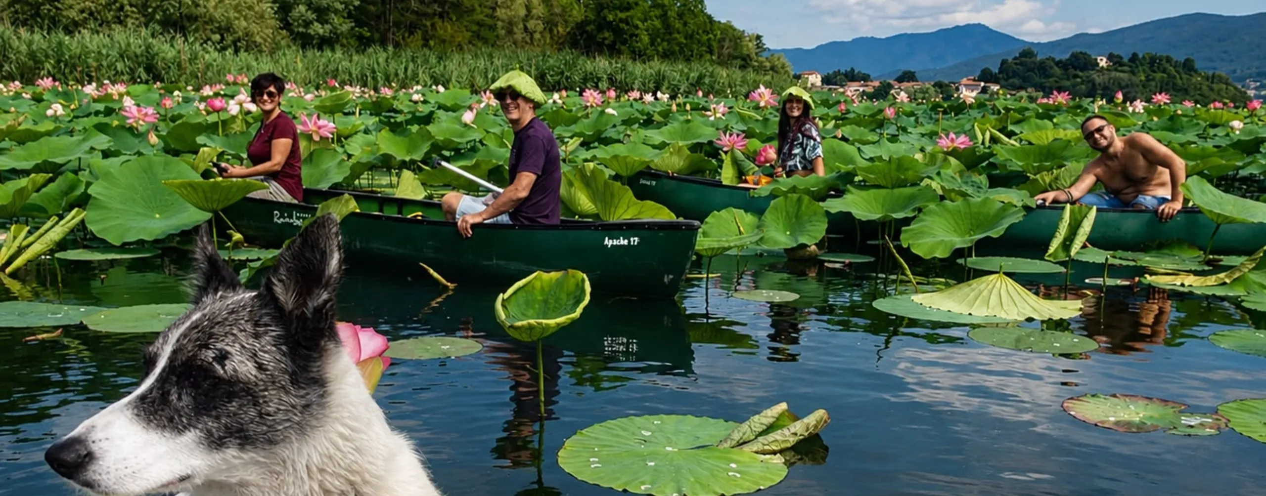 Meeting Loto Experience | Evento tra i Fiori di Loto del Lago di Varese