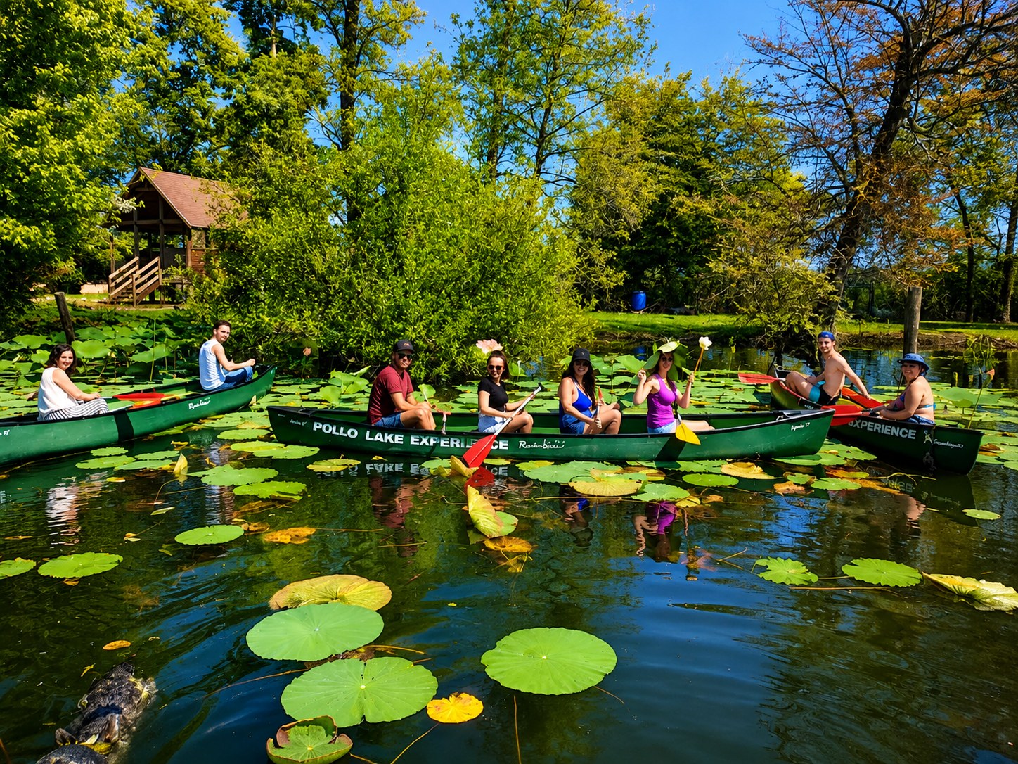 Canoa canadese tra le ninfee e i fiori di loto vicino all'Isolino Virginia