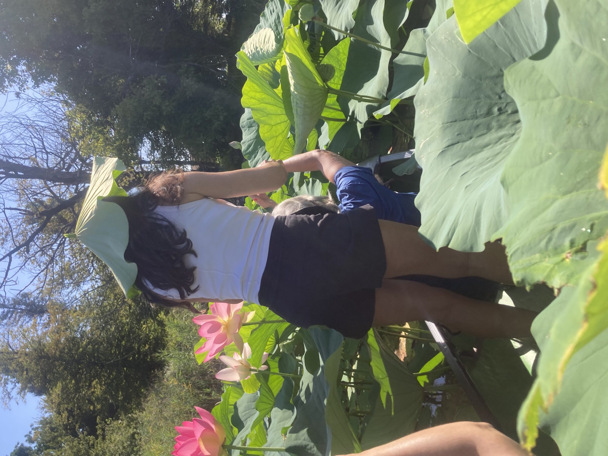 Escursione in Canoa tra i Fiori di Loto | Lago di Varese | Pollo Lake Experience