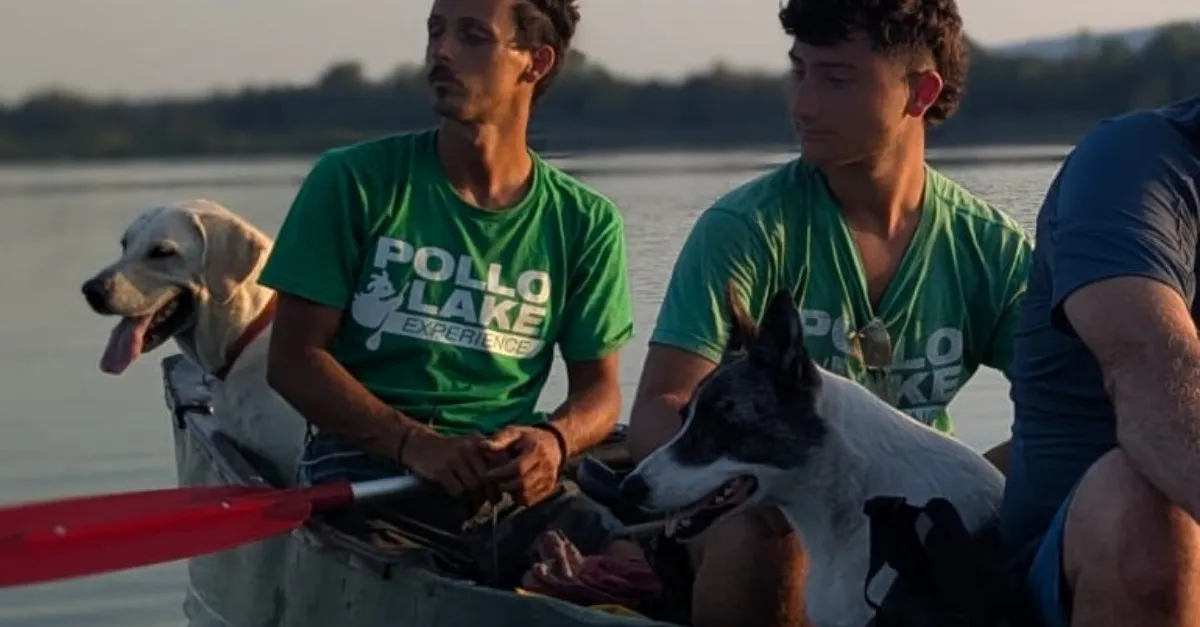 Dog Experience: escursioni con il cane sul Lago Maggiore e dintorni